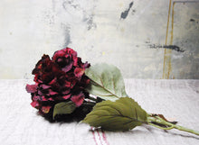 Cargar imagen en el visor de la galería, Flor &quot;Hydrangea Dark Red&quot;
